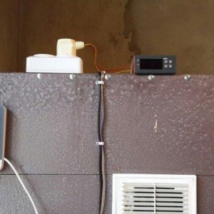 İnqubator satılır. 550-600 toyuğ yumurtası tutur. Tam avtomatik işləyi