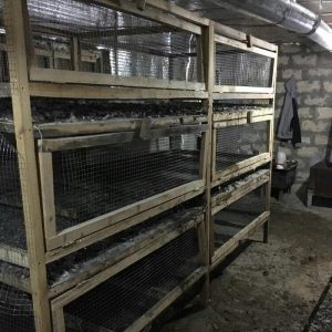 teserufat ucun siginacag sam mohkem
eni 1.20
uzunlugu her olcude var