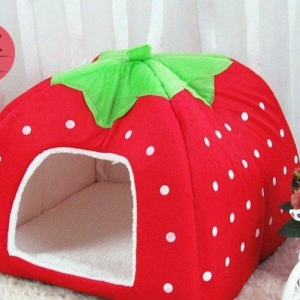 Домики для кошек и маленьки