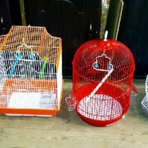 Teze qefesler satilir. Cox gozeldirler rengleri va