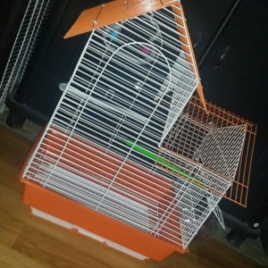 papuqay bulbul ve amadinler ucun teze qefes her bi