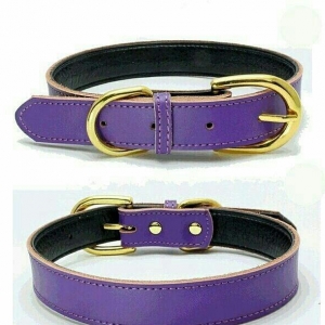 it ve piwikler ucun istediyniz mehsulu onlayn olar