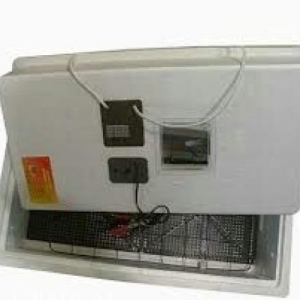 Russiya inkubator Nesuska 104/50 yumurta.  Нов