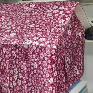 It ve piwikler ucun Isti evler satilir. Biz onlayn