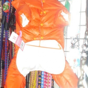 Sevimli itler ucun paltarlar. Biz size istenilen m