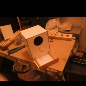 Her nov papuqaylarcun seliqeli maraqli eylenceler yuvalar ve bawqa aks