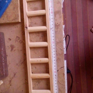 Her nov papuqaylarcun seliqeli maraqli eylenceler yuvalar ve bawqa aks