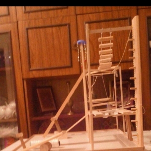 Her nov papuqaylarcun seliqeli maraqli eylenceler yuvalar ve bawqa aks