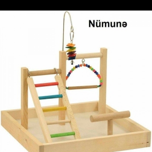 Her nov papuqaylarcun seliqeli maraqli eylenceler yuvalar ve bawqa aks