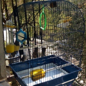 клетка для птиц использовалась мало кормушка и поилка прилагается .gus