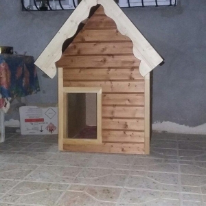 It ucun yuva ici izalasiya olunub normal it rahat yerlewer icine. Bawq