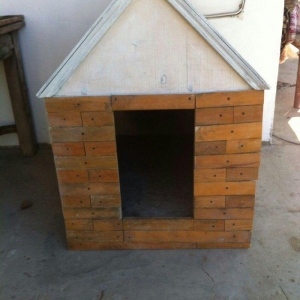 it üçün ev, yerdən aralı düzəldilib, qabağ