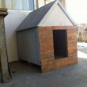 it üçün ev, yerdən aralı düzəldilib, qabağı parket ilə işlənilib .