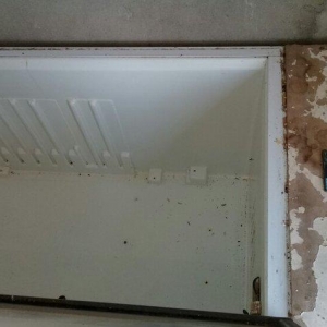 İnqubatordan təzə çıxan cücələri saxlamaq üçün aparat. Temperaturu ist