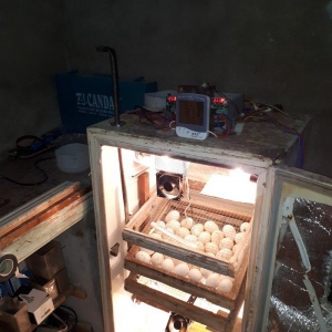 elde yigilma inkubatur 180 yumurta tutumlu avtamotik deyil qapisi acil