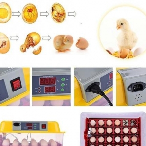 Tam avtomatik İnkubator (cücə çıxaran aparat ) tam yenidir, qutusund