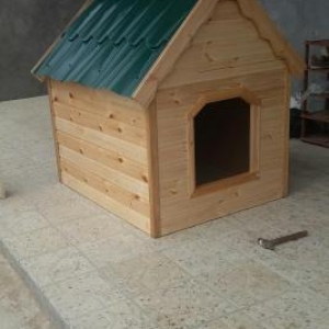 it yivasi. olculer yaxwidi her olcude it yerwer ic