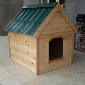 it yivasi. olculer yaxwidi her olcude it yerwer icene. laklanib. ico i