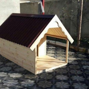 It ucun yuva laklanir izalasiya olunub ici. Her olcude sifariw qebul o