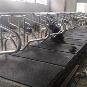 Heyvan üçün döşək  110 azn