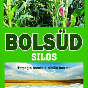 Qarğıdalı silosu