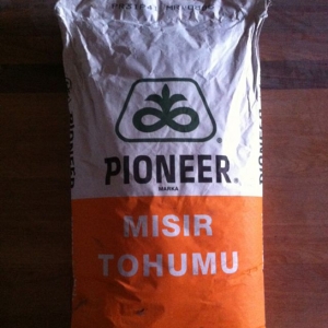 Pioneer dən qarğıdalı toxumu